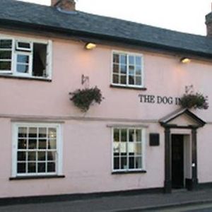 The Dog Inn Холстед Exterior photo