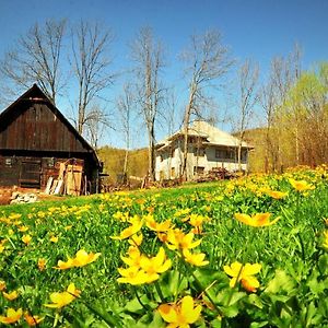 Апартаменты Agropensiunea Tarina Rosia Montana Exterior photo