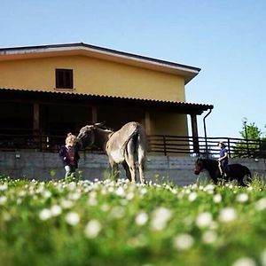 Вилла Il Rifugio Del Contadino Art & Nature Боско Exterior photo