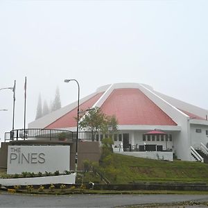 Отель The Pines At Fraser'S Hill, Malaysia Fraser Hill Exterior photo