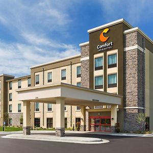 Comfort Inn & Suites West - Medical Center Рочестер Exterior photo
