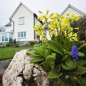 Bed and Breakfast Copper Meadow Лонсестон Exterior photo