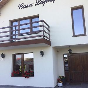 Отель Pensiunea Casa Lupas Джилэу Exterior photo