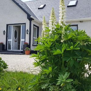 Bed and Breakfast An Charraig Ban On The Wild Atlantic Way F94Wt02 Ардара Exterior photo