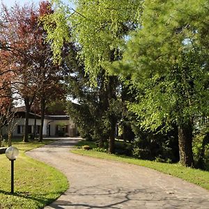 Bed and Breakfast Sasso Di Luna Сканцорошате Exterior photo