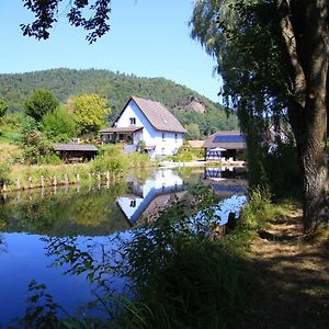 Bed and Breakfast Au Numero 6 Obersteinbach Exterior photo