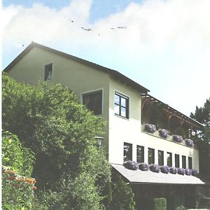 Отель Landgasthaus Zum Erlengrund Emskirchen Exterior photo