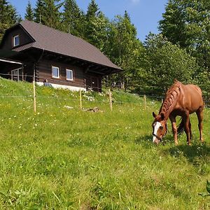 Вилла Panorama Ranc Jezici Exterior photo