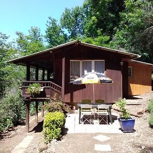 Вилла Chalet Vintage Pollieu Exterior photo