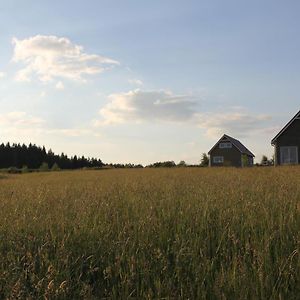 Вилла Mazury Garbate - Dom I Przy Cisowym Jarze Kowale Oleckie Exterior photo