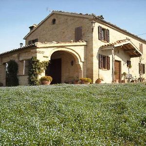 Bed and Breakfast Cascinale La Mimosa Cupramontana Exterior photo