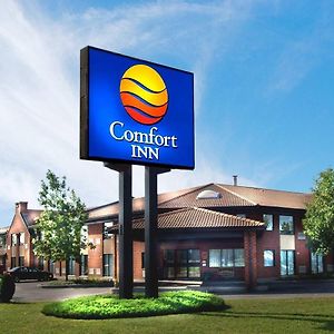 Comfort Inn Сагеней Exterior photo