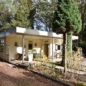 Вилла A Detached Bungalow With Outdoor Fireplace Covered Terrace And Pond In A Forest Plot Wateren Exterior photo