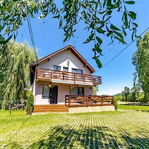 Отель Casa Nitu Инторсура-Бузэулуй Exterior photo