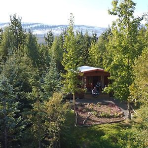 Bakkakot 1 - Cozy Cabins In The Woods Акурейри Exterior photo