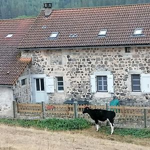 Апартаменты Gite A La Ferme Le Malzieu-Ville Exterior photo