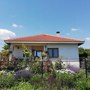 Отель House Albena Дуранкулак Exterior photo