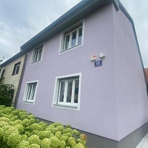 Апартаменты Einfamillienhaus Rustenfeld Exterior photo