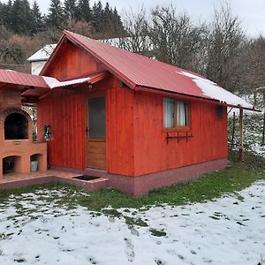 Вилла Casa La Lepe Rosia Montana Exterior photo