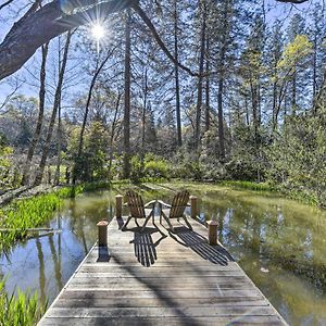 Secluded Cottage On 2 And Acres With Pond, Dock And Bbq Грасс-Валли Exterior photo