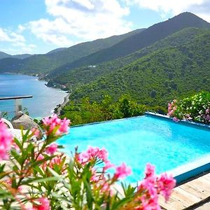 Tortola Adventure Private Villa Ocean-View Pool Freshwater Pond Exterior photo