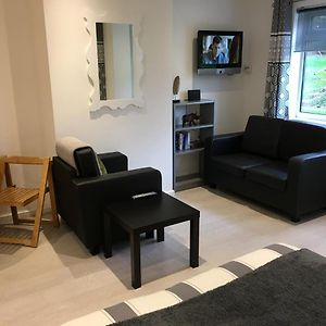 Spacious Ground Floor Studio Flat - Easy Access To Stansted Airport, London And Cambridge Бишопс-Стортфорд Exterior photo