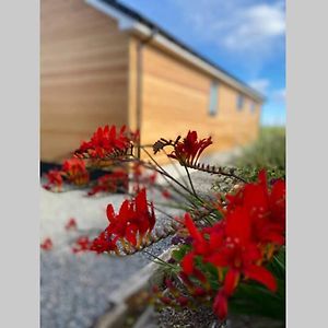 Вилла The Gallafield, Self Catering Bungalow , Stornoway Сторновэй Exterior photo