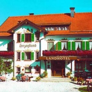 Landhotel Herzogstand Garni Кохель-ам-Зее Exterior photo