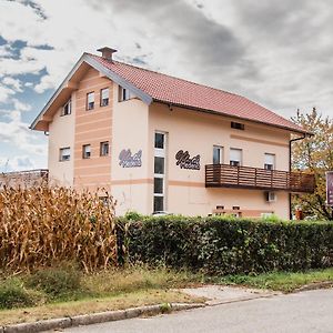 Rooms Vila Medena Брежице Exterior photo