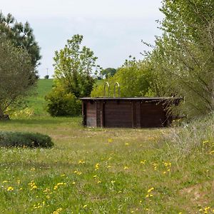 Вилла La Decouverte, Jacuzzi, Sauna, Et Terrasse Avec Vue Sur Lac A La Campagne Entre Toulouse Et Auch Catonvielle Exterior photo