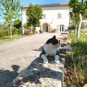 Bed and Breakfast Le Piracante Caiazzo Exterior photo