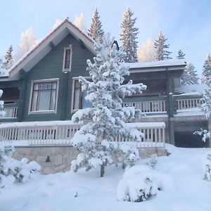 Отель Tahkonhovi Golden Chalet Exterior photo