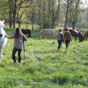 Bed and Breakfast Domaine Des Pierres Jumelles-Balade A Cheval-Chambre D'Hotes Mayenne Sainte-Gemmes-le-Robert Exterior photo