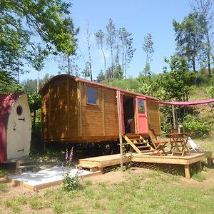 Rosa The Cosy Cabin - Gypsy Wagon - Shepherds Hut, River Views Off-Grid Eco Living Педроган-Гранди Exterior photo
