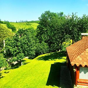 Bed and Breakfast Садиба У Василя Воловец Exterior photo