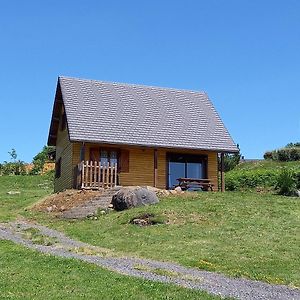 Вилла Chalet Sancy Saint-Genes-Champespe Exterior photo