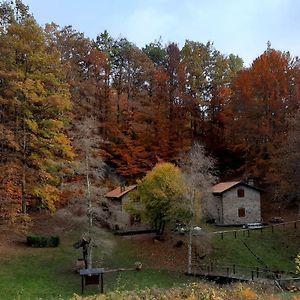 Апартаменты Agriturismo Il Canale Corfino Exterior photo