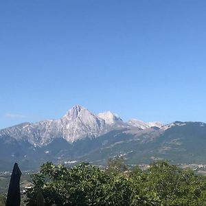 Bed and Breakfast Agriturismo Flara Basciano Exterior photo