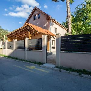 Вилла Casa Sonia Сигишоара Exterior photo