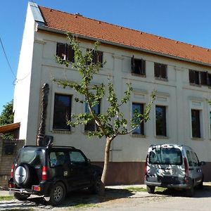 Bed and Breakfast Vadaszkuert Vendegfogado Alsonyek Exterior photo