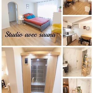 Prestigeloc Luxury Studio Avec Sauna Prive Gratuit Ou Sans - Centre Ville D'Орлеан Exterior photo