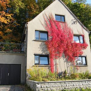 Вилла Unser Ferienhaus Ebersbach-Neugersdorf Exterior photo