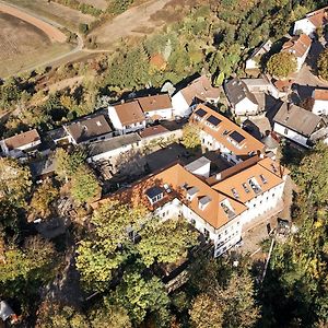 Отель Seminar- Und Gaestehaus Burghof Stauf Exterior photo