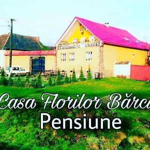 Апартаменты Casa Florilor Barcut Exterior photo