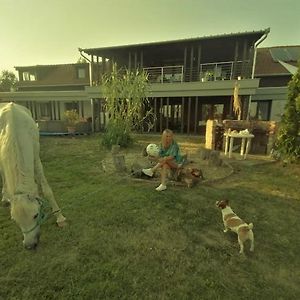 Bed and Breakfast Silver Horse Ranch Bekes Exterior photo