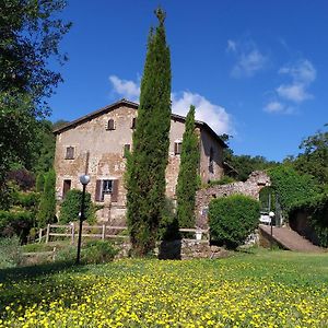 B&B Il Giardino Del Borgo Veiano Exterior photo