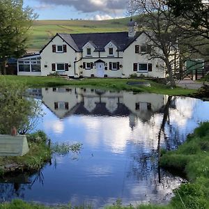 Llwyn Onn Guest House, North Wales Пентрфоелас Exterior photo