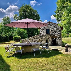 Bed and Breakfast Domaine De La Planche De Melussac Cussac-sur-Loire Exterior photo