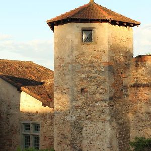 Отель La Tour Bocsozel La Cote-Saint-Andre Exterior photo