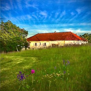 Bed and Breakfast Le Bouyssou Cazes-Mondenard Exterior photo